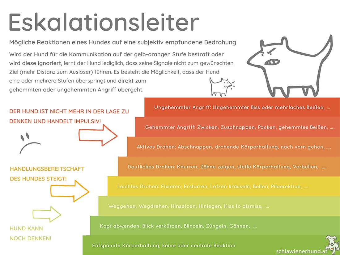 Eskalationsleiter bei Hunden - Mögliche Reaktionen eines Hundes auf eine subjektiv empfundene Bedrohung.